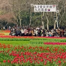 杭州旅游 缩略图 18