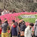 杭州旅游 缩略图 17