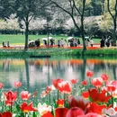 杭州旅游 缩略图 4