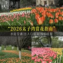 杭州旅游 缩略图 1