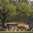 杭州旅游 缩略图 9