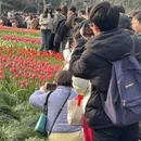 杭州旅游 缩略图 2