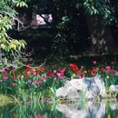 杭州旅游 缩略图 9