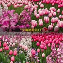 杭州旅游 缩略图 6