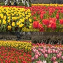 杭州旅游 缩略图 9
