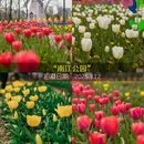 杭州旅游 缩略图 10
