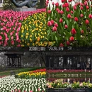 杭州旅游 缩略图 4
