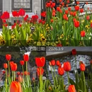 杭州旅游 缩略图 12