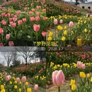杭州旅游 缩略图 7