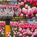 杭州旅游 缩略图 5