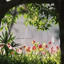 杭州旅游 缩略图 2