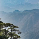 安庆旅游 缩略图 6