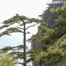 安庆旅游 缩略图 12