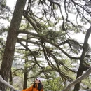 安庆旅游 缩略图 8