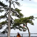 安庆旅游 缩略图 10