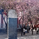 西安旅游 缩略图 3