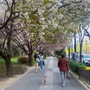 西安旅游 缩略图 2