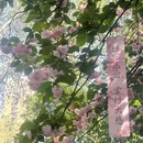 西安旅游 缩略图 11