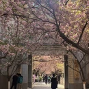 西安旅游 缩略图 5
