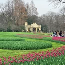 杭州旅游 缩略图 1