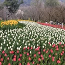杭州旅游 缩略图 4
