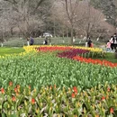 杭州旅游 缩略图 5
