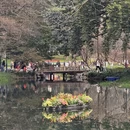 杭州旅游 缩略图 10