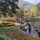杭州旅游 缩略图 8