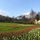 杭州旅游 缩略图 11