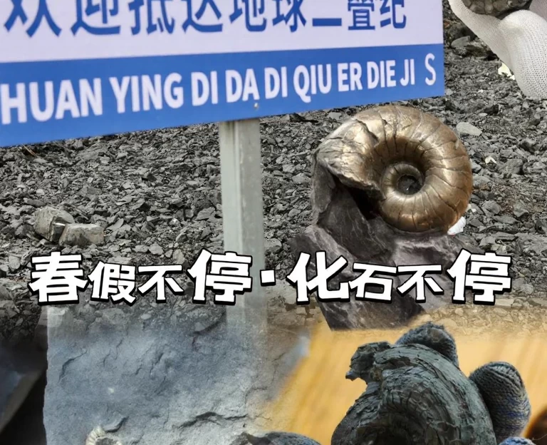 杭州旅游 1