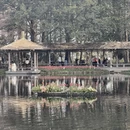 杭州旅游 缩略图 13
