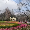 杭州旅游 缩略图 15