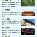 南京旅游 缩略图 1