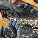 杭州旅游 缩略图 4