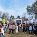 南京旅游 缩略图 1