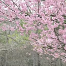 杭州旅游 缩略图 6