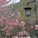 杭州旅游 缩略图 7