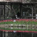 杭州旅游 缩略图 16