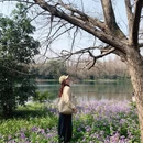 杭州旅游 缩略图 10