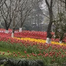 杭州旅游 缩略图 1