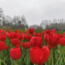 杭州旅游 缩略图 9