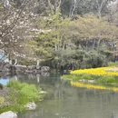 杭州旅游 缩略图 6