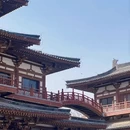 西安旅游 缩略图 15