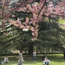 西安旅游 缩略图 6