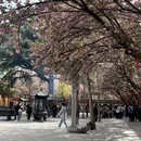 西安旅游 缩略图 4