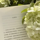杭州旅游 缩略图 6