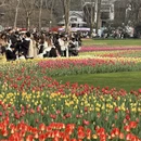 杭州旅游 缩略图 8