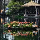 杭州旅游 缩略图 3