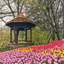 杭州旅游 缩略图 7