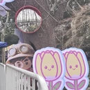 杭州旅游 缩略图 14
